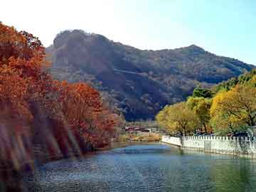 澳彩资料免费长期公开，两生花祭